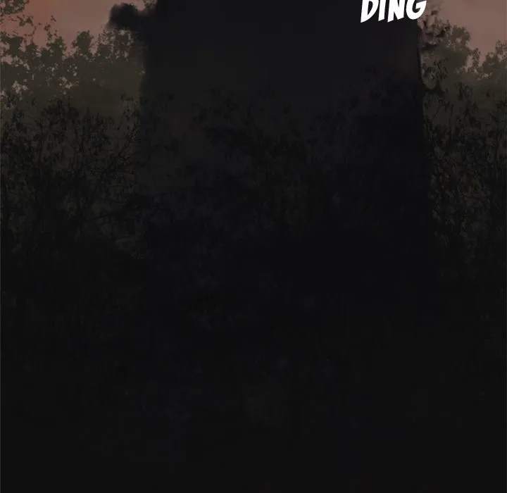 Chapter 3, page 97